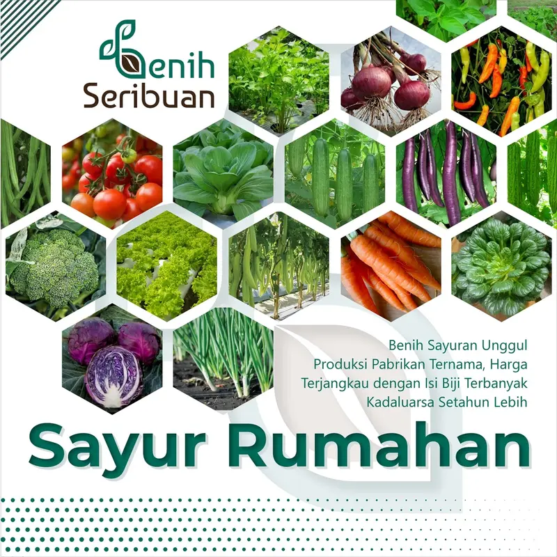 STM Benih Sayuran Rumahan Paket Hemat