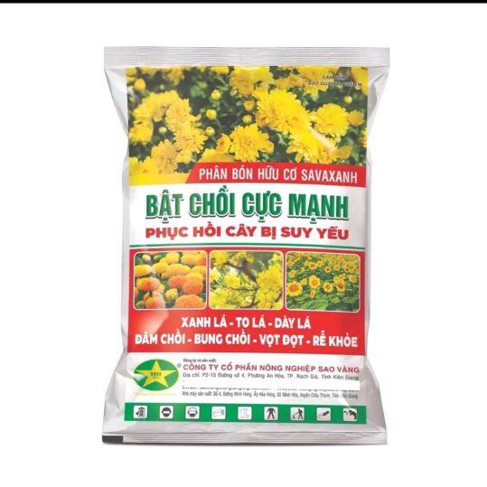 Product Introduction of Phân bón Bật chồi cực mạnh - phục hồi cây bị suy yếu sau tết gói 100gr 5