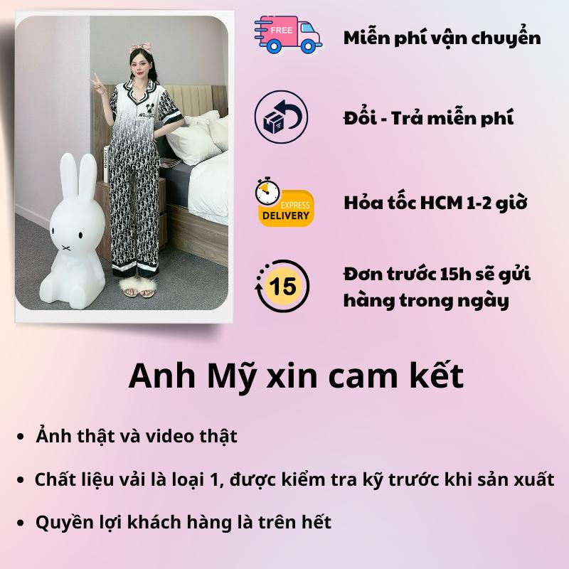 Product Introduction of Đồ bộ nữ mặc nhà pijama nữ 5D chất liệu lụa xước in bộ cao cấp tay ngắn quần dài SP0195 Hàng cao cấp 49