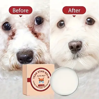 Morkie tear stains best sale