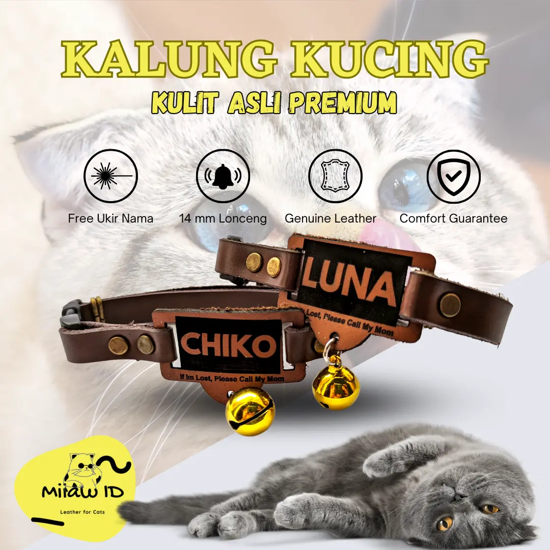 Miiaw ID Kalung Kucing Custom Nama Kulit Premium