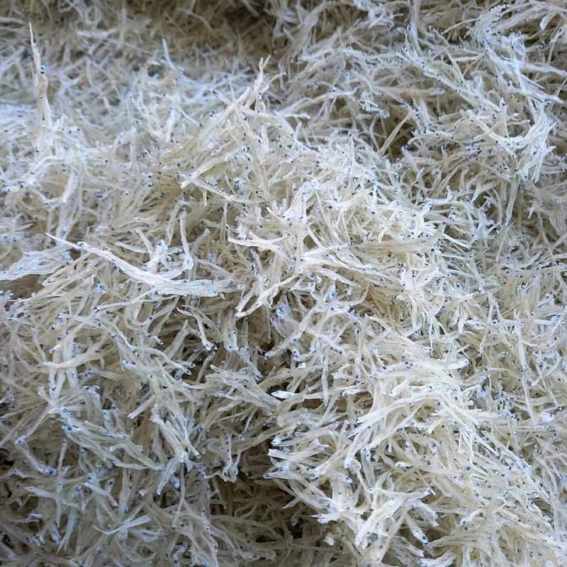 CÁ CƠM SỬA LOẠI 1 (túi 500gr) 3