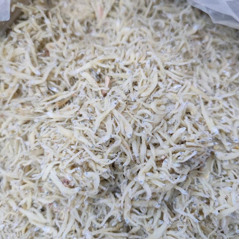 [COD] IKAN ASIN TERI NASI ASLI MEDAN 500GR 4