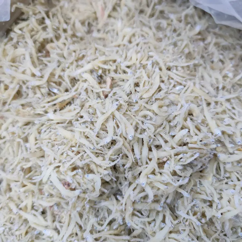 [COD] IKAN ASIN TERI NASI ASLI MEDAN 500GR 4