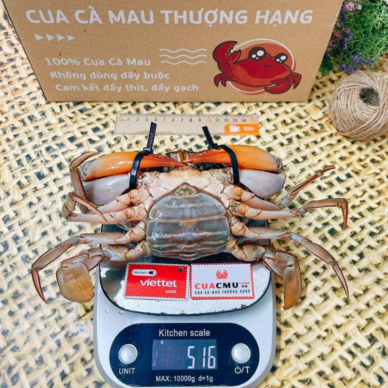 Product Introduction of Cua Thịt+Gạch size 2 con/kg - Cam kết chính gốc Cà Mau, tỷ lệ thịt và gạch trong thân cua đạt trên 90% -  CUACMU chấm Vn 3
