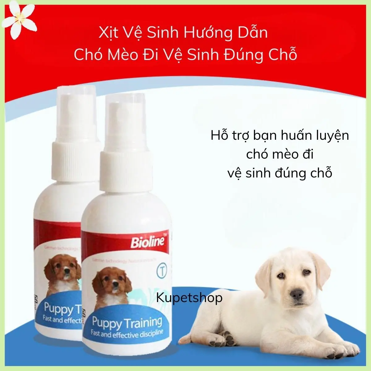 Bioline- Xịt Hướng Dẫn Chó Mèo Đi Vệ Sinh Đúng Chỗ