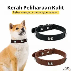 Kerah Anjing Tulang Baru untuk Anjing Kecil dan Sedang, Cocok untuk Teddy, Golden Retriever, dan Ras Anjing Lainnya