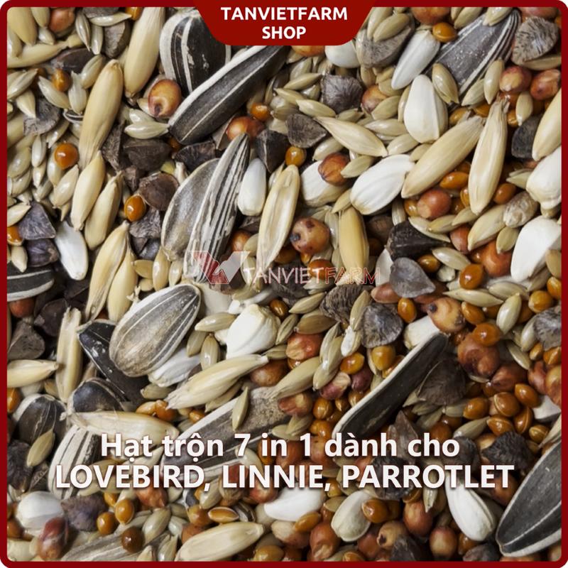  1 kg Hạt trộn 7 in 1 cho Vẹt LOVEBIRD LINNIE PARROTLET Sự kết hợp hoàn hảo của các loại hạt dinh dưỡng giúp cung cấp đầy đủ dưỡng chất cho các loại chim cảnh 