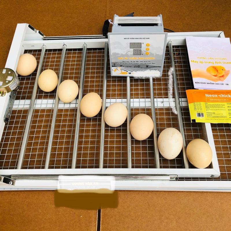 Máy Ấp Trứng Ánh Dương Đảo Tự Động 54 Trứng - Máy Ấp Trứng gà