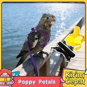 Tali Harness Burung Parrot 2 Meter Anti Lepas Nyaman Aman Cocok Untuk Cockatiel Lovebird Nuri Jalak Bird Leash Walking Training Outdoor