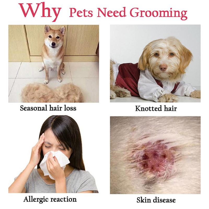 Product Introduction of Professional Pet Brush Dog Hair Remover Pet Fur Knot Cutter Puppy Cat Comb Brushes Dogs Grooming Shedding Supplies 3