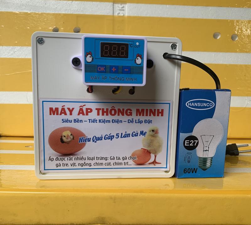 Máy Ấp Trứng Thông Minh Hiệu Quả Vượt Trội