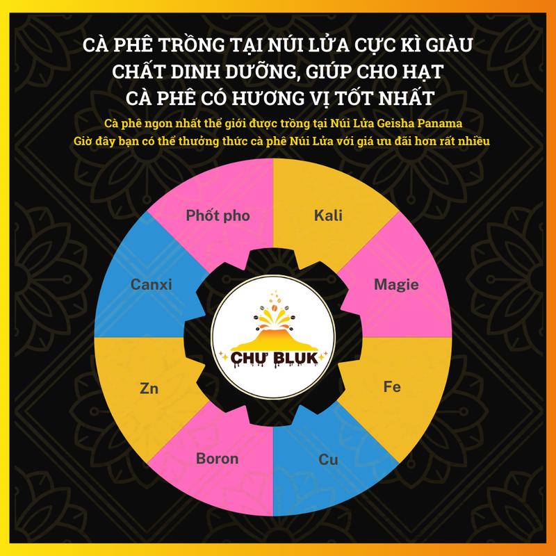 Combo đặc biệt 500g Robusta + 500g Arabica 2