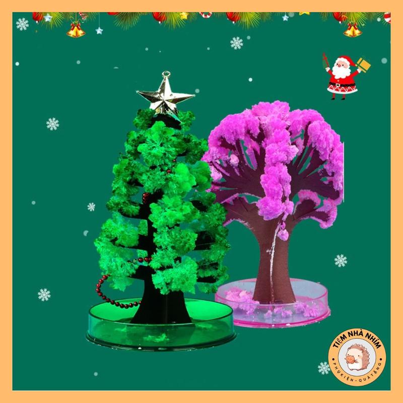 Cây Thông thần kỳ Bằng Giấy ma thuật - Cây hoa Anh Đào bằng giấy Tự nở - khi trồng cho bé, đồ chơi tuổi thơ cho bé