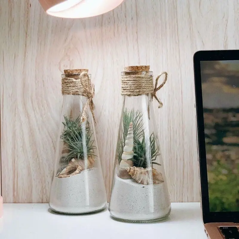 COMBO 10 chai thuỷ tinh tam giác, chai nón nút gỗ ép 350ml
