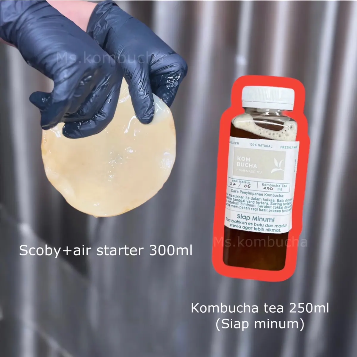Scoby+ air starter 300ml + kombucha tea 250ml Natural Organic