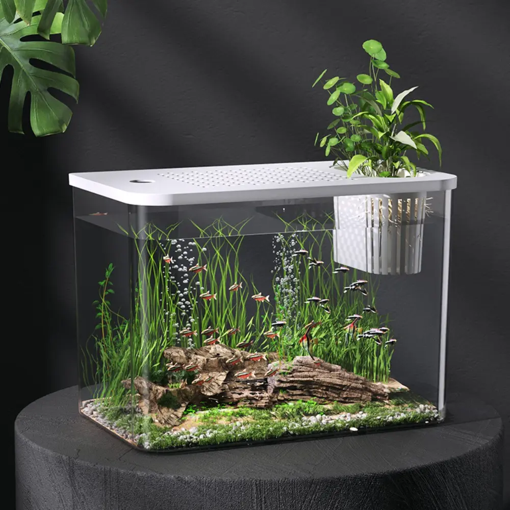 New PET+ABS Fish Tank Transparent with Lid Turtle Tank Drop Resistant Hydroponic Tank Aquarium Home