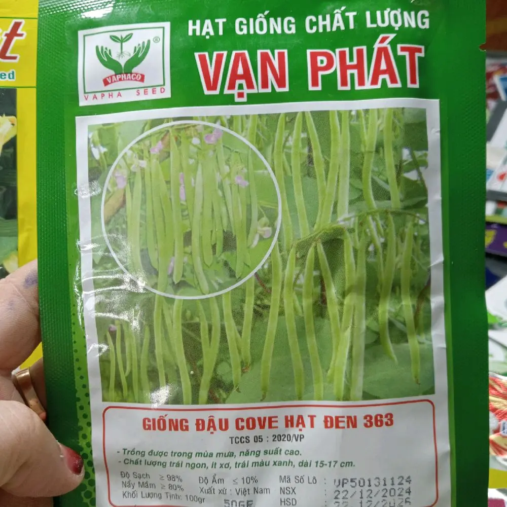 H.ẠT GI.ỐNG ĐẬU COVE LEO