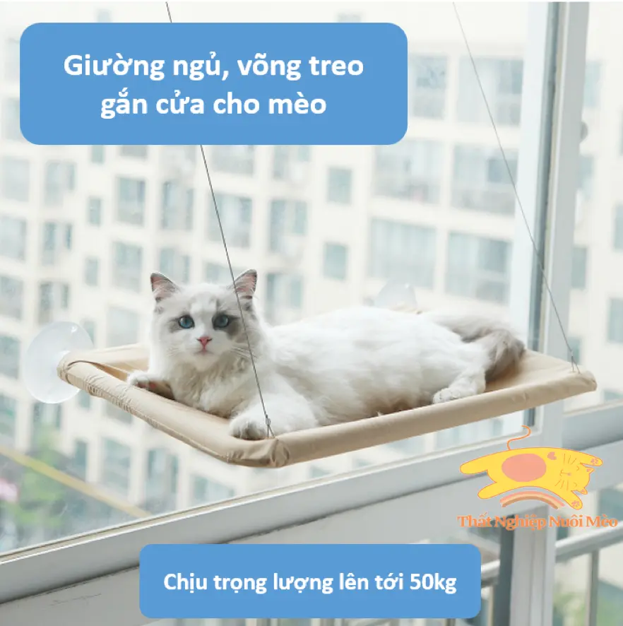 Giường ngủ, Võng tắm nắng cho mèo treo gắn cửa sổ, thiết kế giác hút tiện dụng, dễ dàng lắp ráp