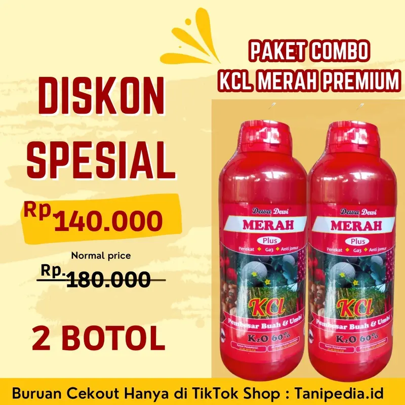 HARGA PROMO 2 BOTOL KCL MERAH PREMIUM - Pupuk Untuk Masa Pembuahan 0