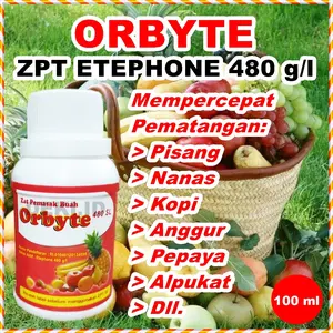Orbyte 480 SL 100 ml ZPT Etefon Zat Pematang Buah Naga Nanas Pematangan Pisang Karbit Percepat Kematangan Pepaya Aka Ichipon Ethrel