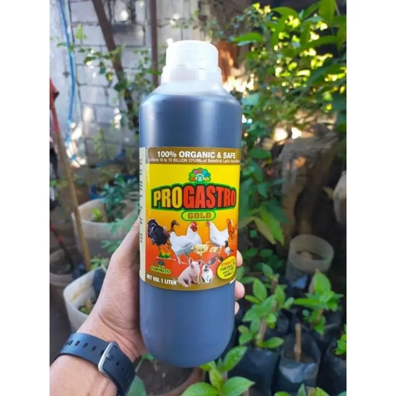ProGastro Gold | Poultry & Swine Probiotics | Best for Broilers ...