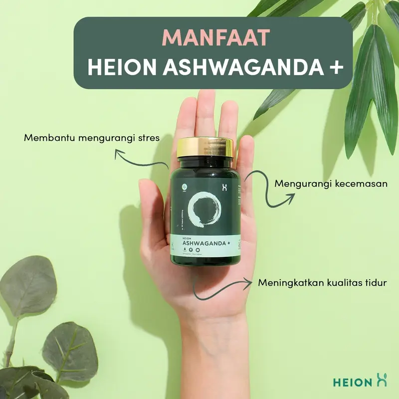 HEION Ashwagandha + 30 Kapsul - SUPLEMENT KESEHATAN MAKANAN ASHWAGANDA EXTRACT ANXIETY STRESS RELIEF SLEEP Extract @500mg BPOM by HEION OFFICIAL 2