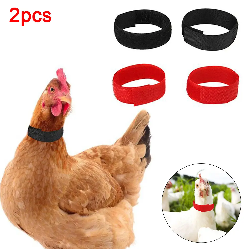 2Pcs Chicken Collar Nylon Anti-hook Noise Free Ducks Geese Poultry Neck Strap