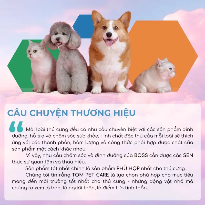 Seasal drop Bộ Nhỏ mũi cho chó mèo: sổ mũi, nghẹt mũi, hắt hơi. 6