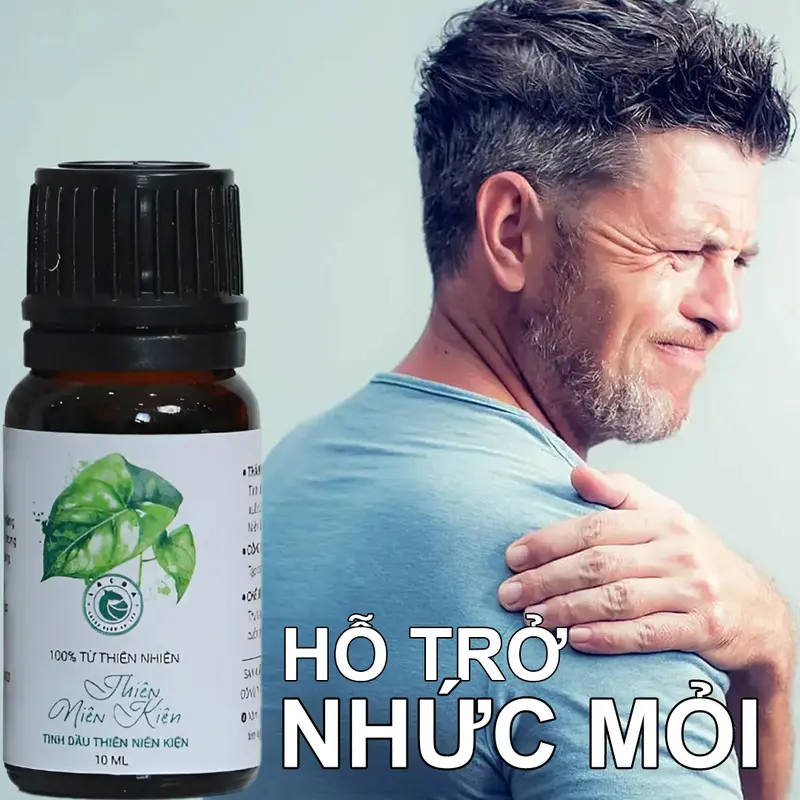 Tinh dầu thiên niên kiện Lạc đà xanh 10ml – Dùng xoa bóp, massage – Tốt cho gân cốt dầu  xoa 2