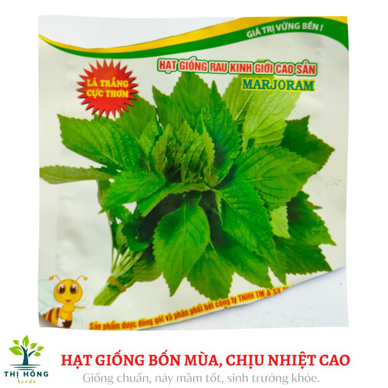 Hạt giống rau kinh giới (mùi thơm dễ chịu, màu xanh, có lông nhám) 1