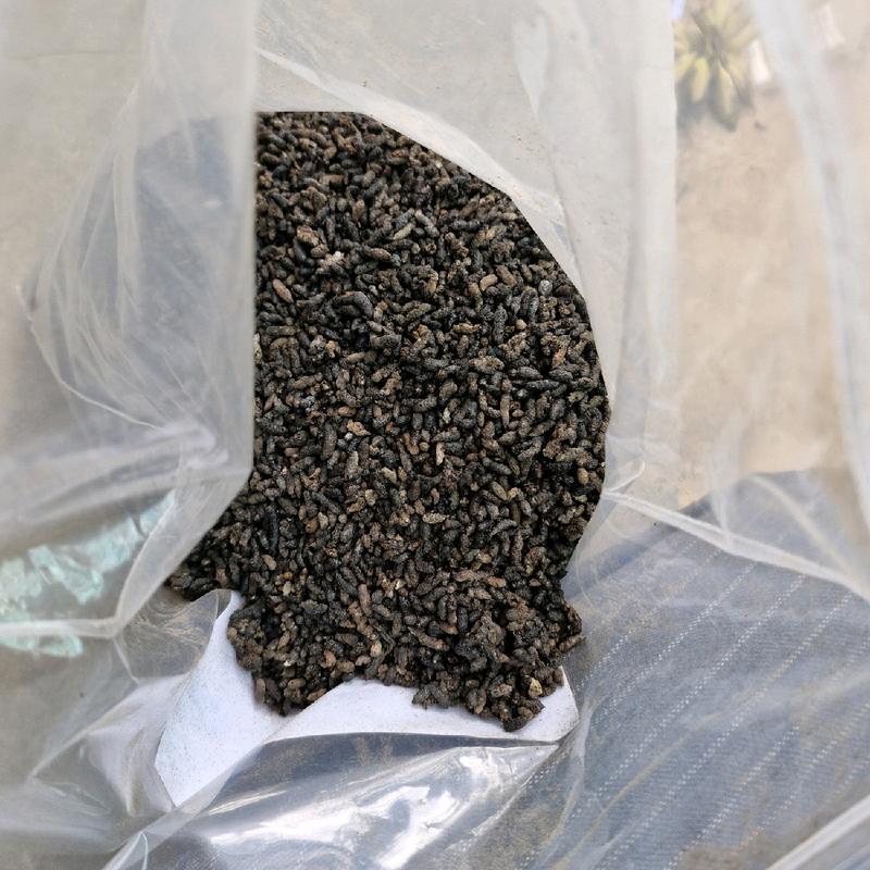 túi 500g phân dơi nguyên chất, phơi khô, túi zip tiện lợi có nhãn dán 1