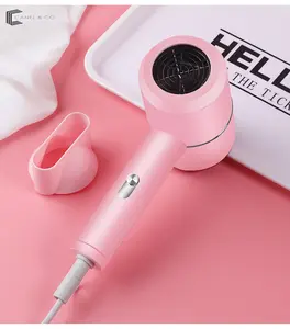 CANEL&CO Hairdryer Salon Kecantikan Profesional Perawatan Rambut Blu-Ray Cahaya Pengering Rambut Pengering Rambut