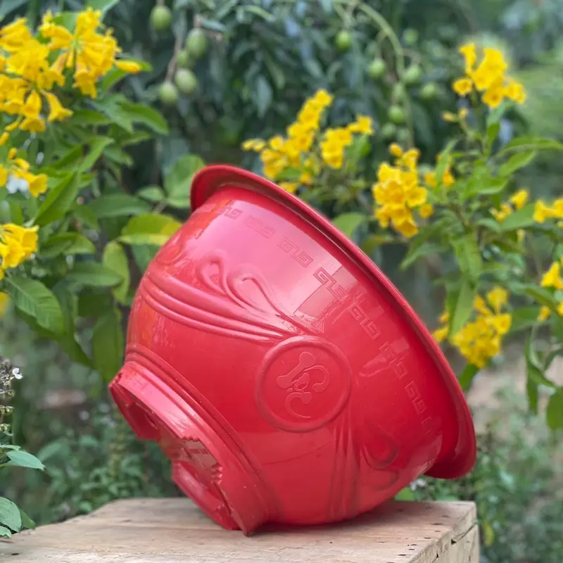 [ 5 cái ] Chậu nhựa trồng cây T38 dày dặn ( miệng 36 x cao 20cm ) chậu  hoa 3