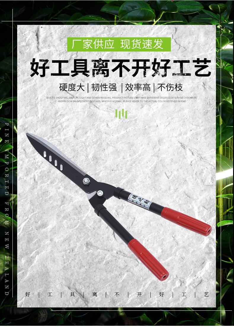 Product Introduction of Dezhizhu Green Bamboo Scissors Iron Handle Lawn Shears Manganese Steel Pruning Shear Hedge Shears Gardening Holly Scissors Tea Scissors Pruning Tool 13