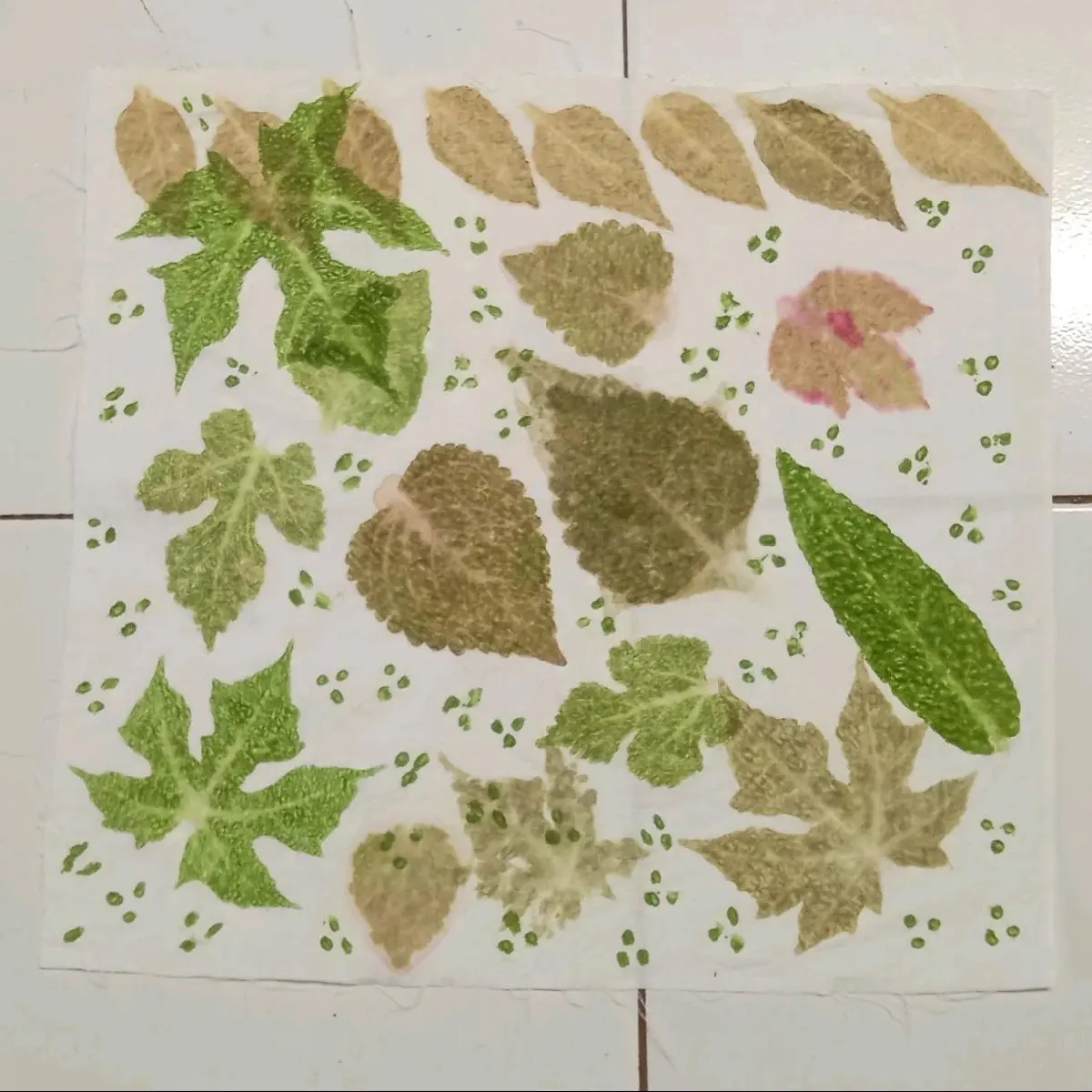Sapu tangan ECOPRINT