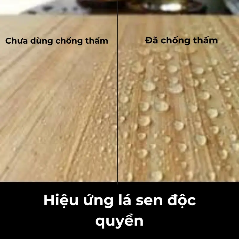 [1Kg] Sơn Chống thấm Trong Suốt Cao Cấp - SIRA AC (Tặng kèm chổi chét sơn) chong tham trongsuot nền gạch sơn  nền nhà tắm sơn  trong suốt 3