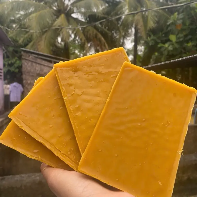 Sáp dụ ong rừng ,ruồi,nội địa 3