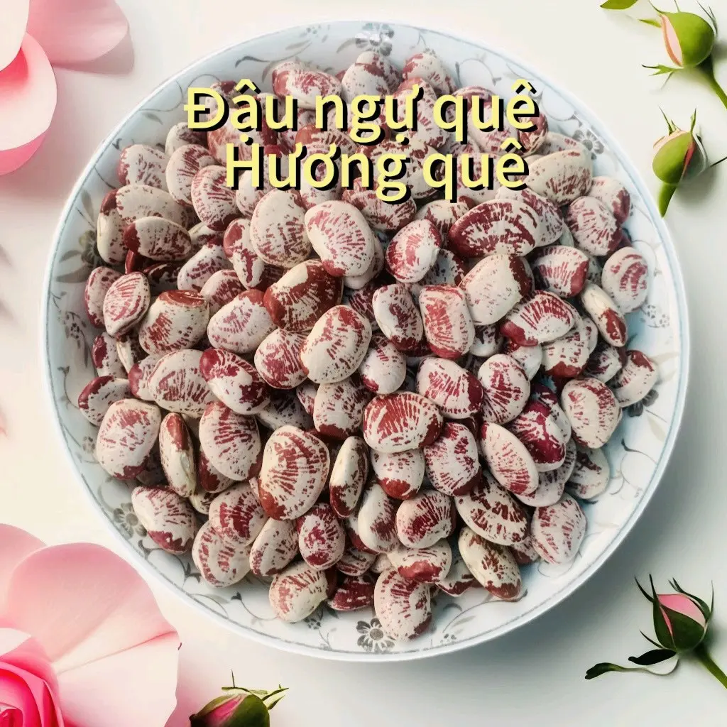 500g đậu ngự khô hàng quê dùng làm nấu chè, xôi nấu súp làm nhân bánh v,v_Hương quê không không đường