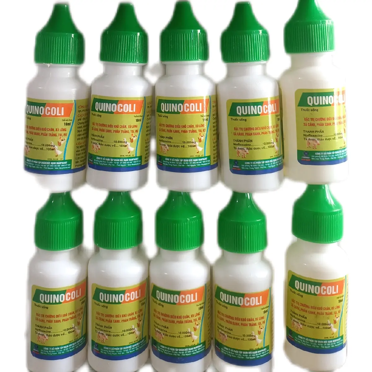 combo 10lọ QUINOCOLI 10ml thuốc trị chướng diều, khô chân, xù lông trên gà, vịt, chim cảnh...