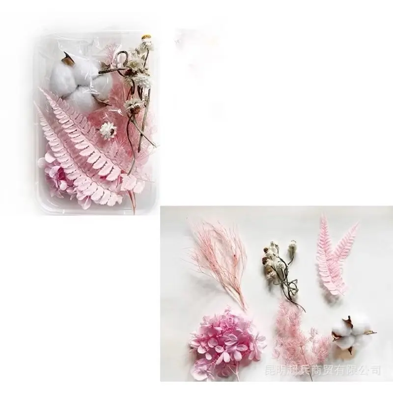 Hoa khô nhiều mẫu mới về dùng làm handmade, khung tranh, nến, sáp thơm, resin, trang trí. Kawaii - Thế giới hoa khô 5