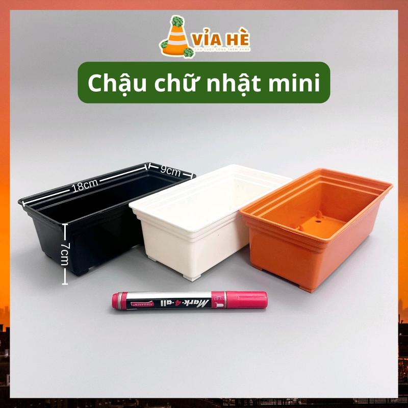 Chậu nhựa mini dài hình chữ nhật trồng sen đá tiểu cảnh, chậu trồng xương rồng bonsai 18x9x7 cm