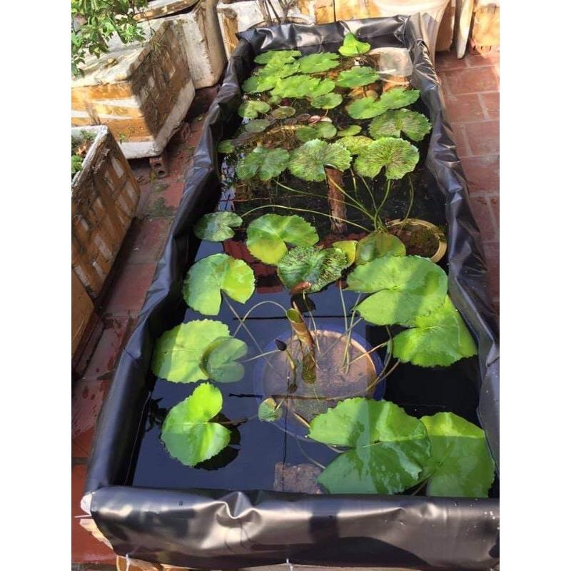 Product Introduction of Bạt hdpe lót hồ nuôi cá koi, bạt lót hồ chứa nước, hồ cảnh quan khổ 5m dày 3zem(0.3mm) bền 10 năm 2
