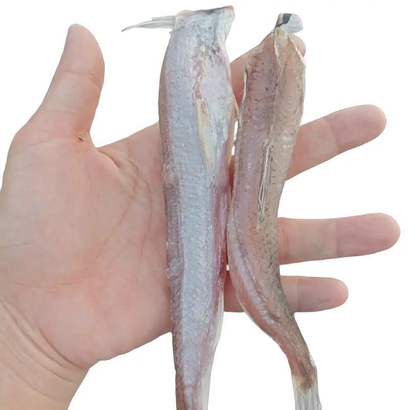 Khô cá mối nguyên con (túi 1kg), khô mặn,chế biến quý khách ăn Lạt nên ngâm nước, chiên giấm đường, Food