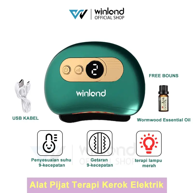 Kombo hijau merah muda memberikan nilai luar biasa, GUA SHA massage  + setrika wajah  2 in 1 2