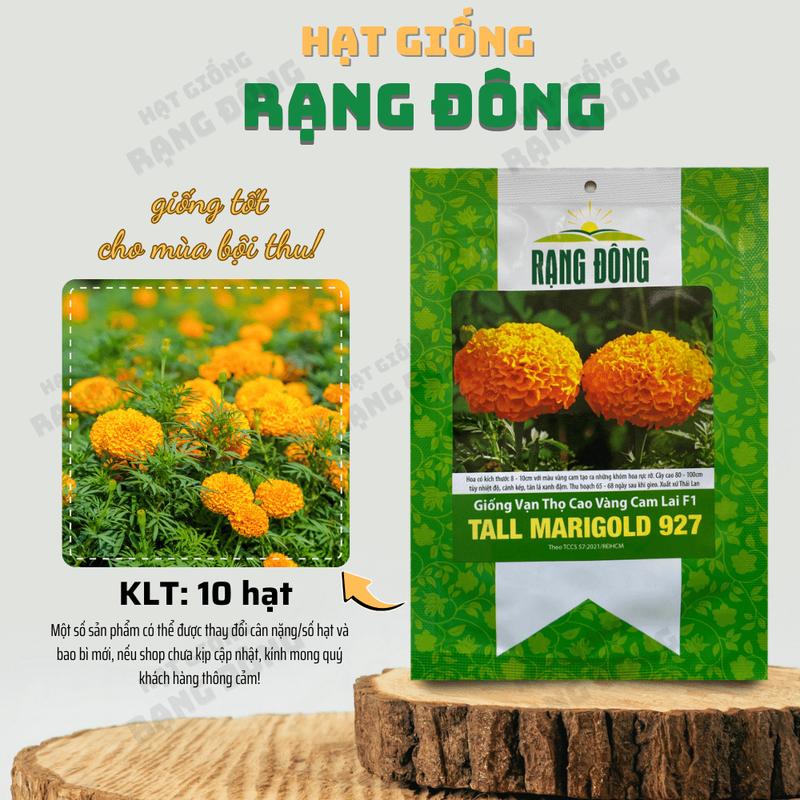 Hạt giống Vạn Thọ Cao Vàng Cam Lai F1 Tall Marigold 927 (10 hạt) hoa sinh trưởng khỏe, thích hợp trồng chậu - Hạt giống Rạng Đông