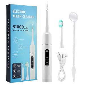 交換用ブラシヘッド付き6速調整電動歯ブラシ、1セットの防水タイプC充電式ディープクレンジング保護歯茎歯ブラシ（大人用）