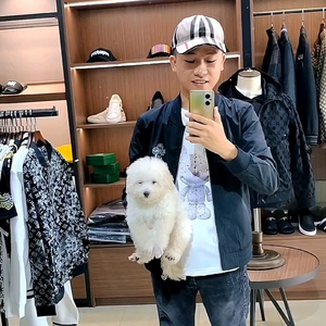 Đinh Lợi - Túi Xách Nữ