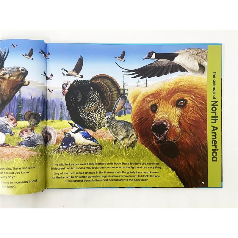 Product Introduction of High Quality Animals Of The World Book For Kids To Learn Interesting Facts About Animals (Hardcover) 15