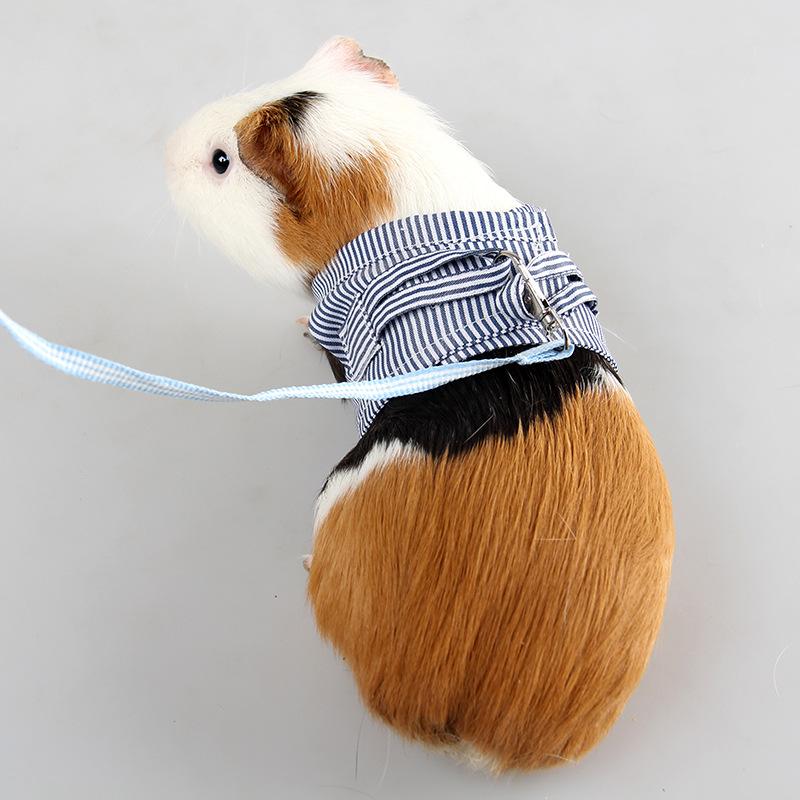 Product Introduction of S/L Small Pets Chest Strap Hamster Outdoor Traction Rope Adjustable Harness Leash Vest for Rabbit Hedgehog Chinchilla Guinea Pig 6